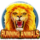 RTP CQ9  wiseplay777