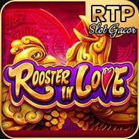 RTP jdb  wiseplay777