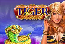 RTP Playngo  wiseplay777
